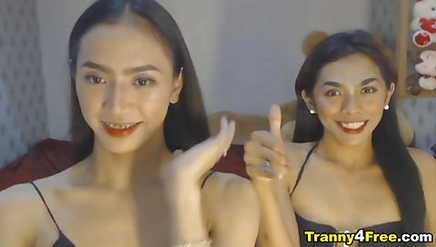 Ta exchangys of a sexy girls